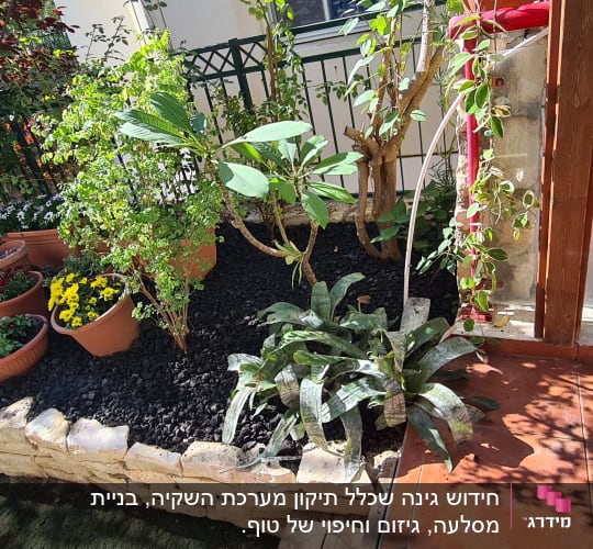 עציצים עם פרחים צבעוניים בגינה מטופחת